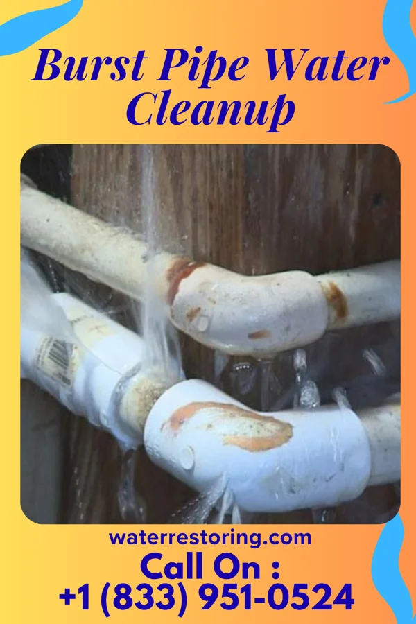 Burst Pipe Water Cleanup in Valle Vista, NM
