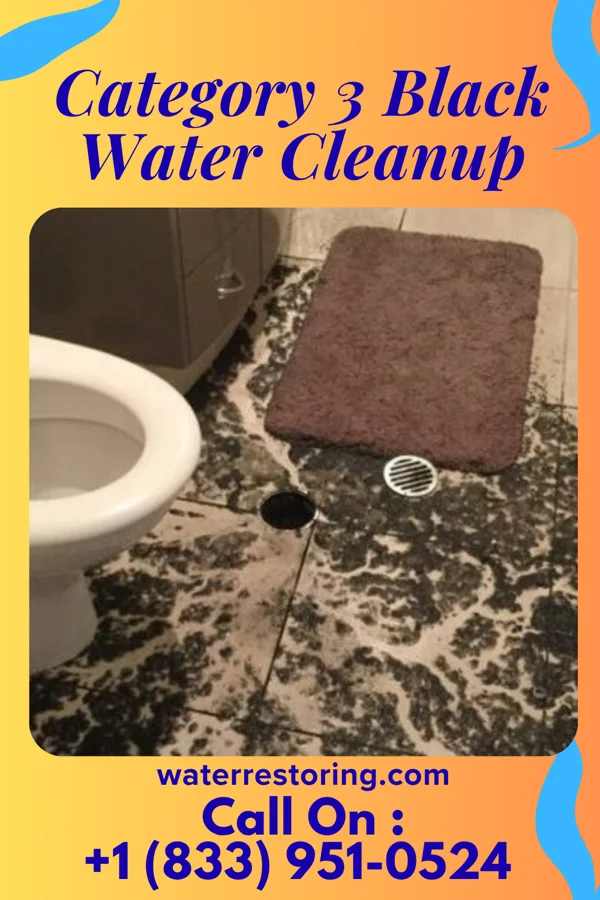 Category 3 Black Water Cleanup in Valle Vista, NM