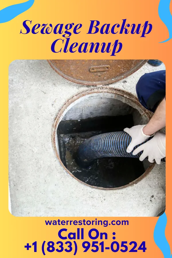 Sewage Backup Cleanup in Valle Vista, NM