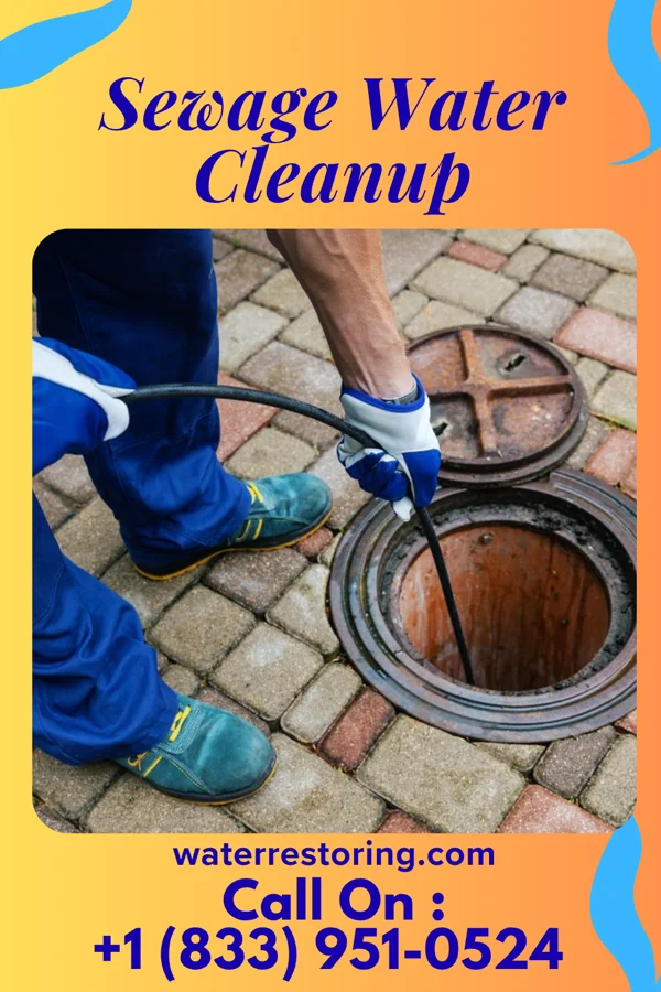 Sewage Water Cleanup in Valle Vista, NM